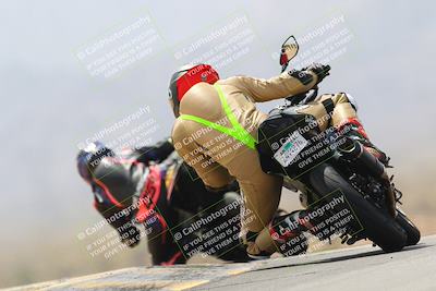 media/Apr-10-2022-SoCal Trackdays (Sun) [[f104b12566]]/Turn 9 Backside (1120am)/